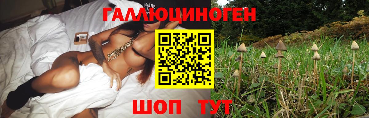 Галлюциногенные грибы мицелий  Вход с VPN  Самара  Галлюциногенные грибы MAGIC MUSHROOMS 